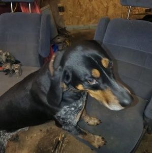 Meet your Posher, Rob